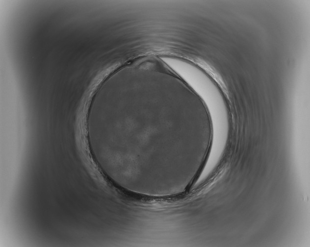 X0000099570481200805301543