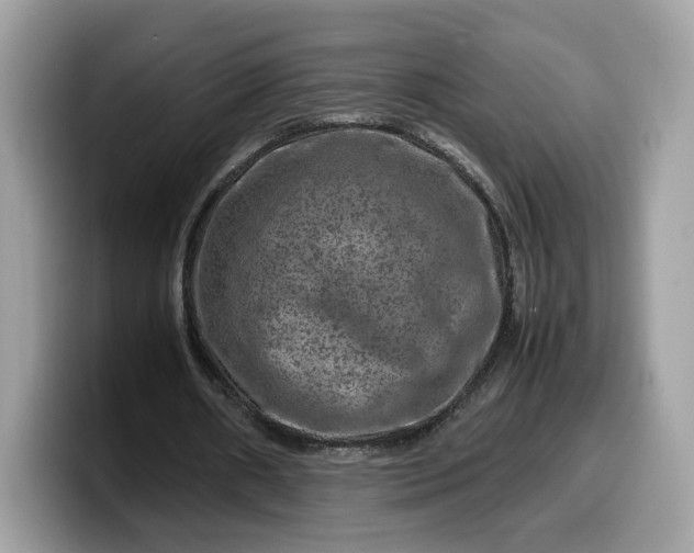 X0000099570482200805301543
