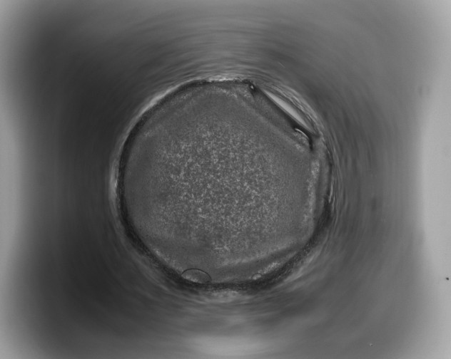 X0000099570483200805301543