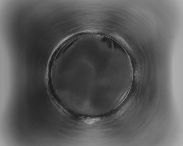 X0000099570484200805301543