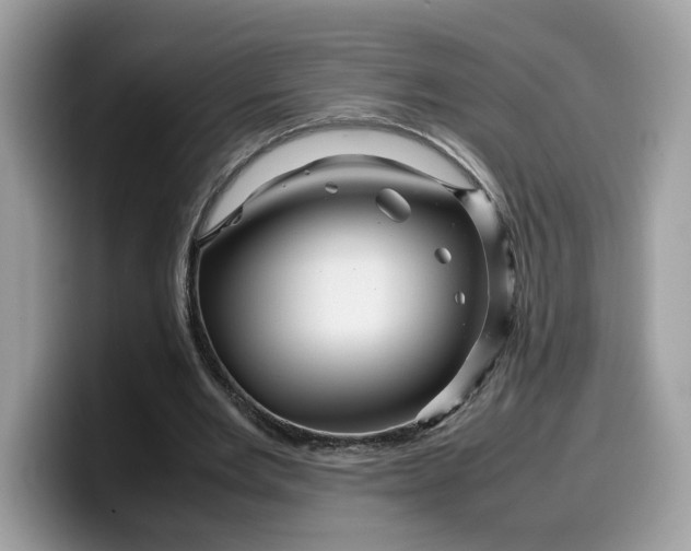 X0000099570485200805301543