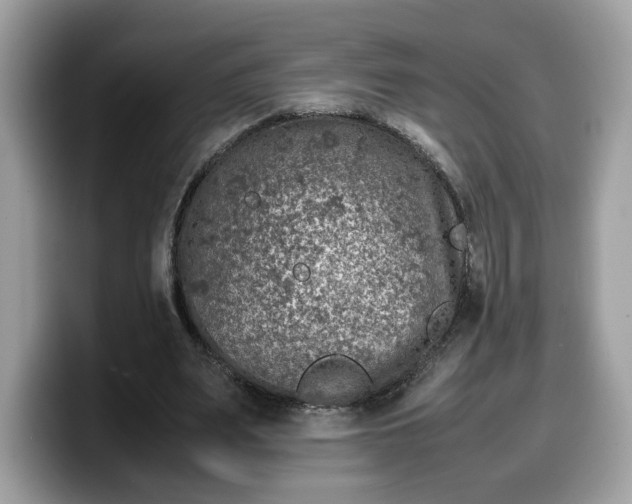 X0000099570487200805301543