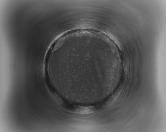 X0000099570488200805301543