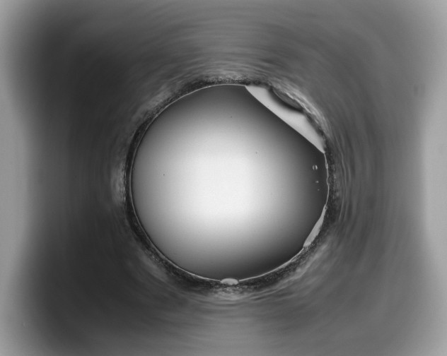 X0000099570489200805301543