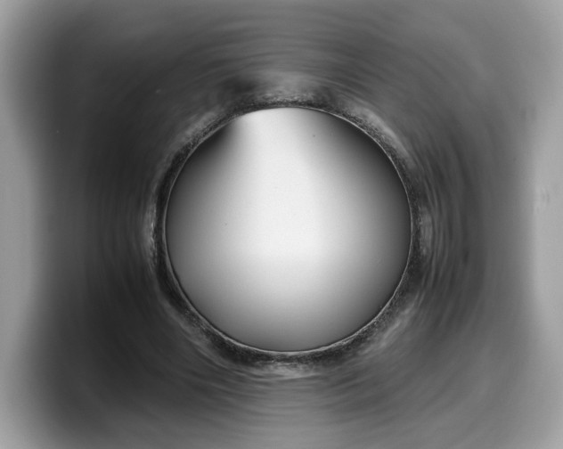 X0000099570490200805301543
