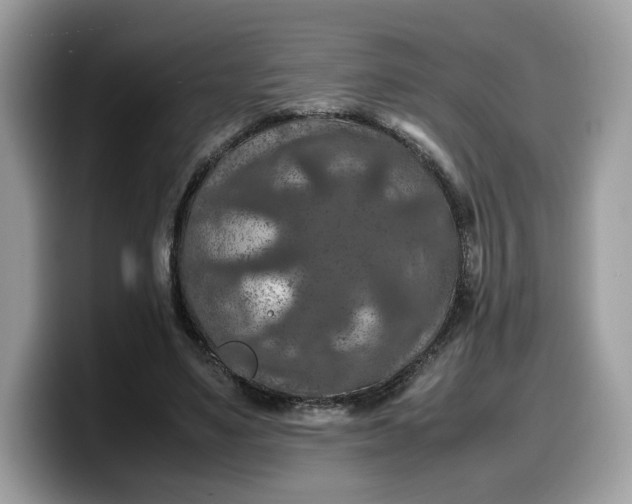 X0000099570491200805301543