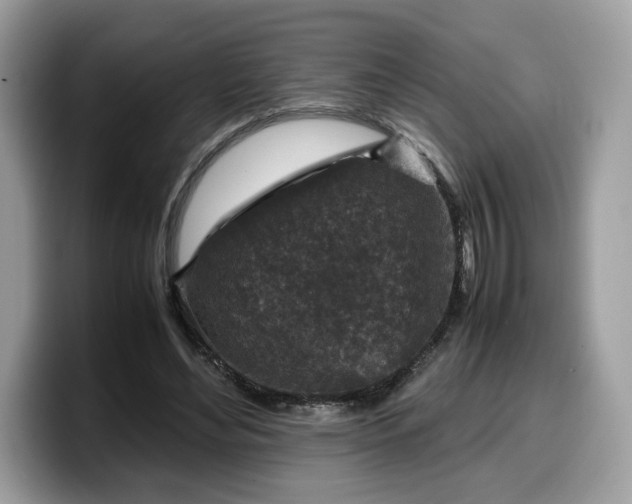 X0000099570492200805301543