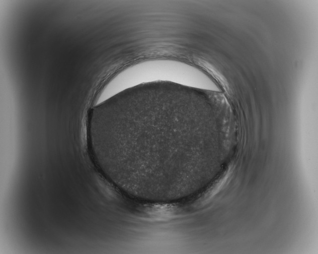 X0000099570493200805301543