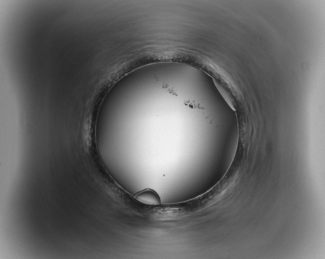 X0000099570497200805301543