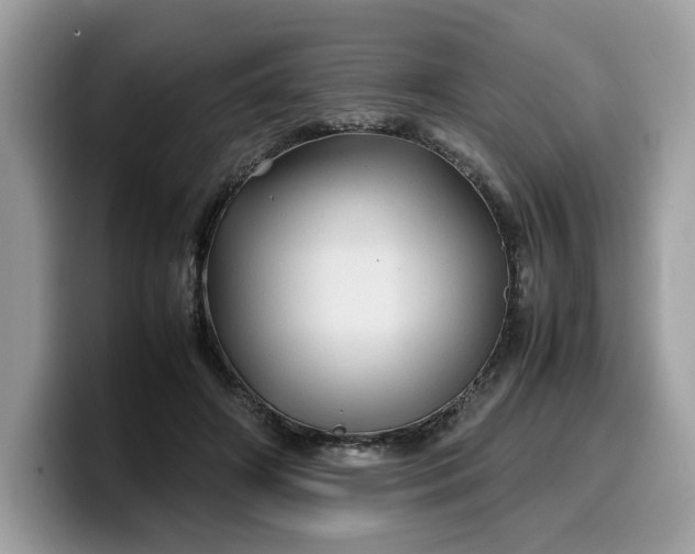 X0000099570498200805301543