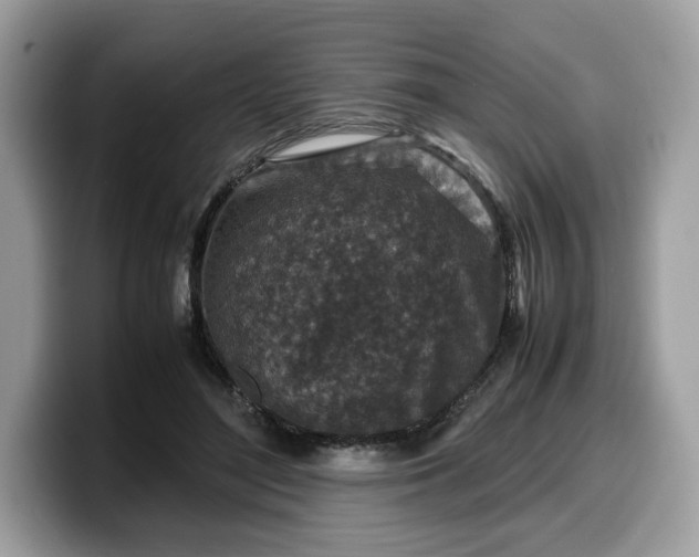 X0000099570500200805301543