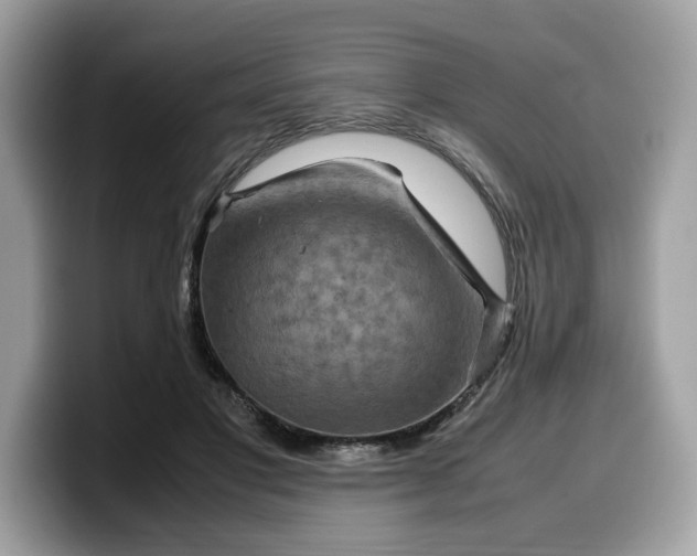X0000099570501200805301543