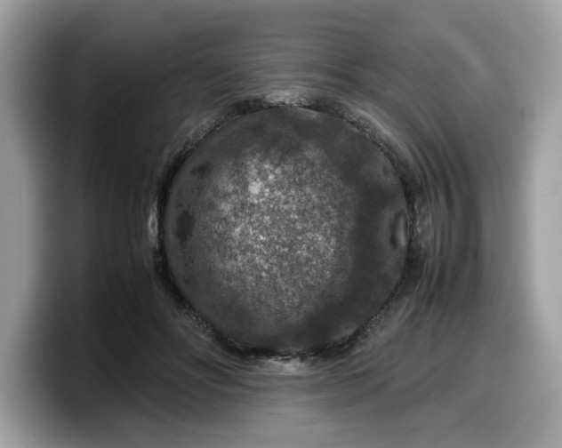 X0000099570502200805301543