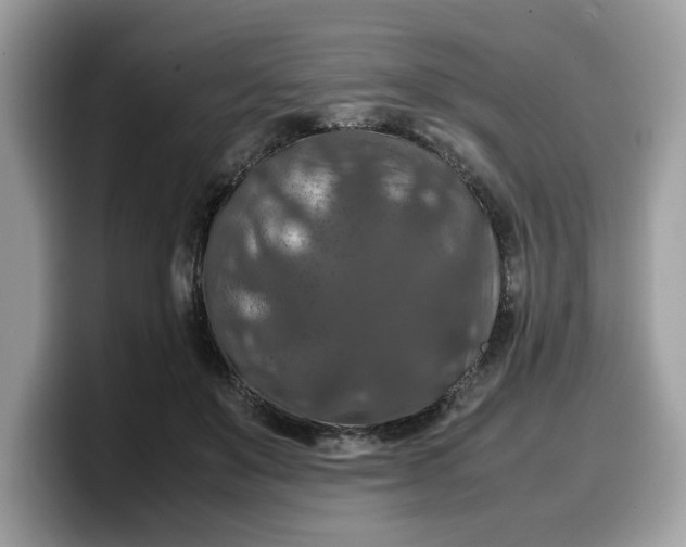 X0000099570503200805301543