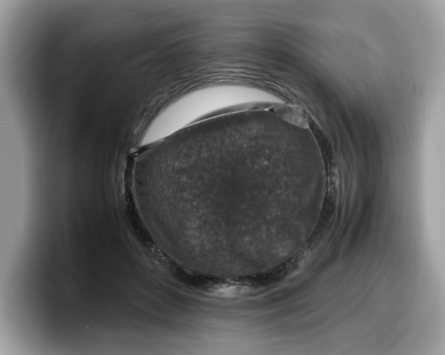 X0000099570504200805301543