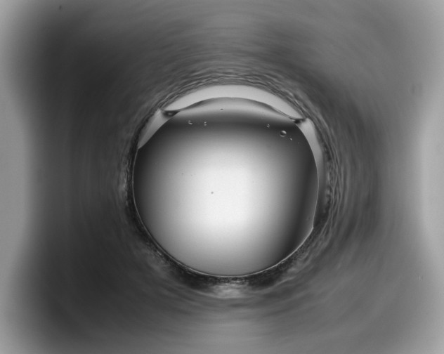 X0000099570505200805301543