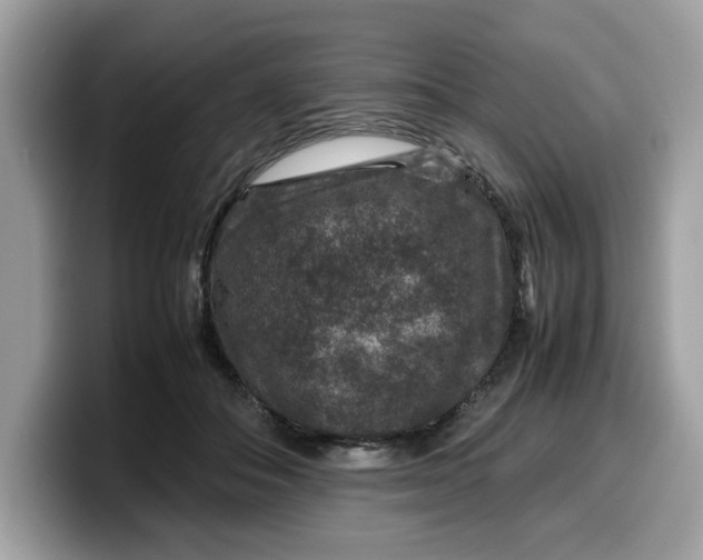 X0000099570506200805301543
