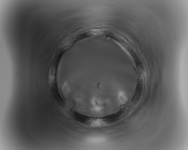 X0000099570507200805301543
