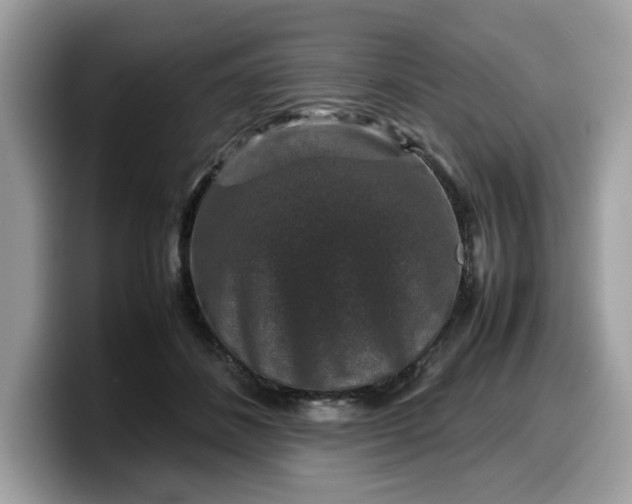 X0000099570508200805301543