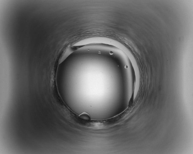 X0000099570509200805301543