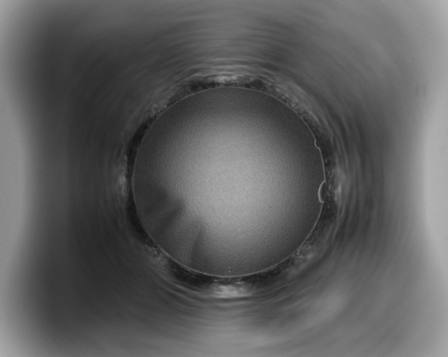 X0000099570510200805301543