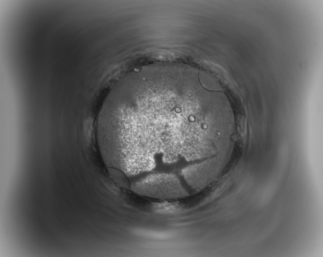 X0000099570511200805301543