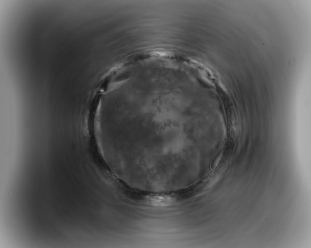 X0000099570512200805301543