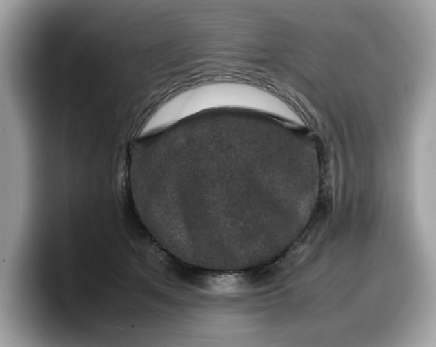 X0000099570513200805301543
