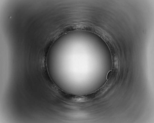X0000099570514200805301543