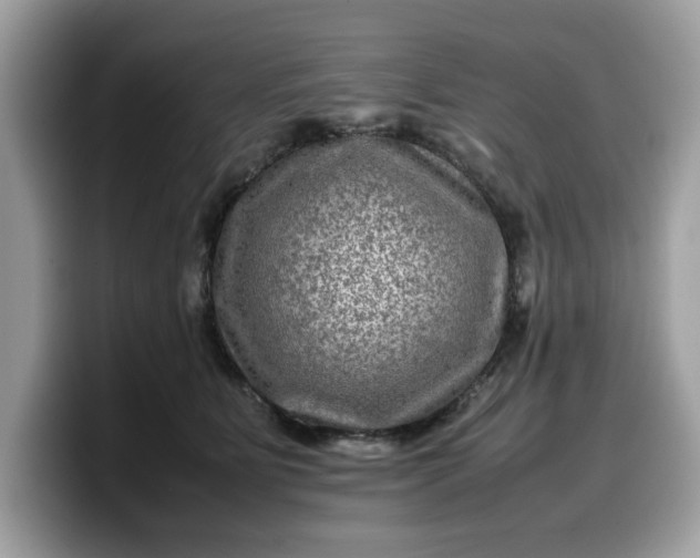 X0000099570515200805301543