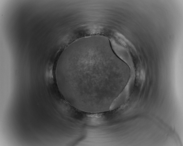 X0000099570516200805301543