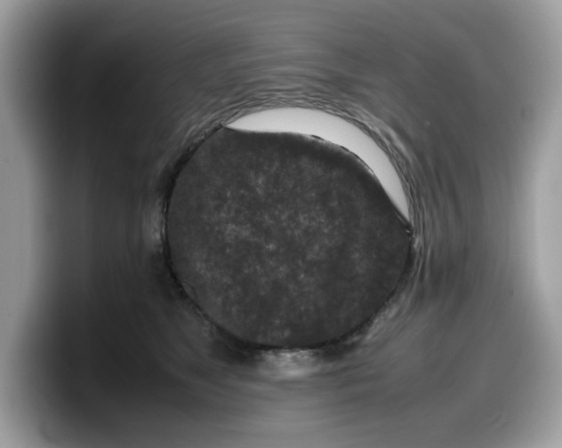 X0000099570517200805301543