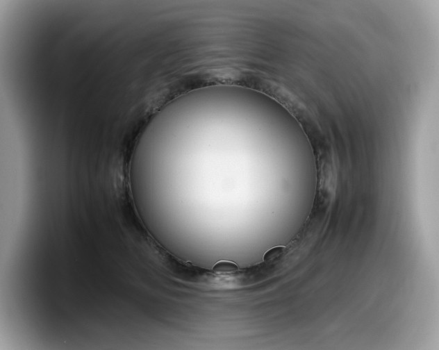 X0000099570518200805301543