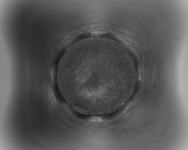 X0000099570519200805301543