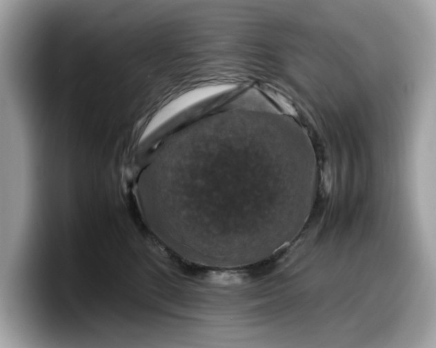 X0000099570520200805301543