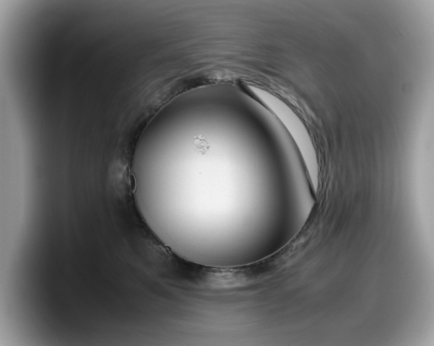 X0000099570521200805301543