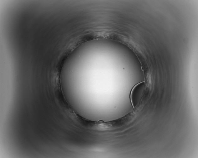 X0000099570522200805301543