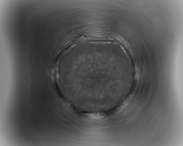 X0000099570524200805301543