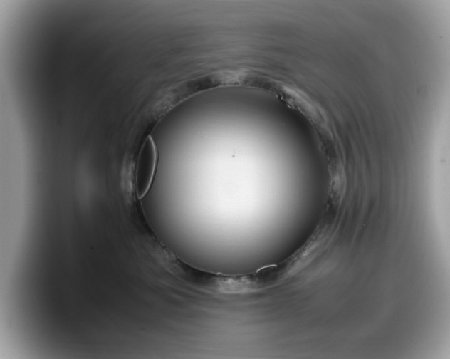 X0000099570525200805301543
