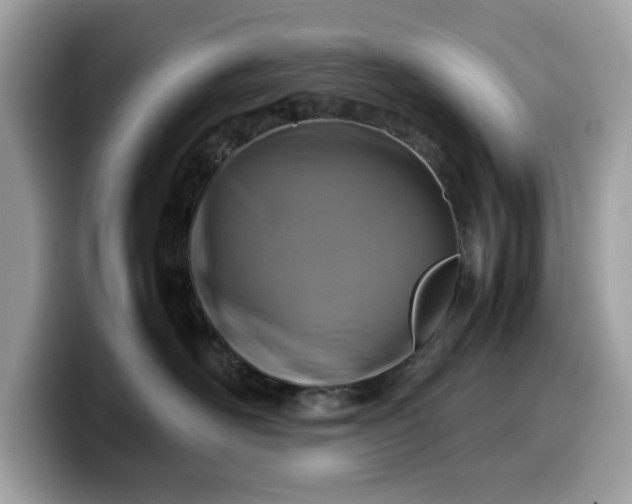 X0000099570526200805301543
