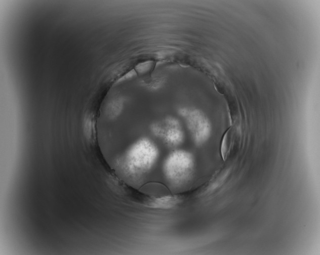 X0000099570527200805301543