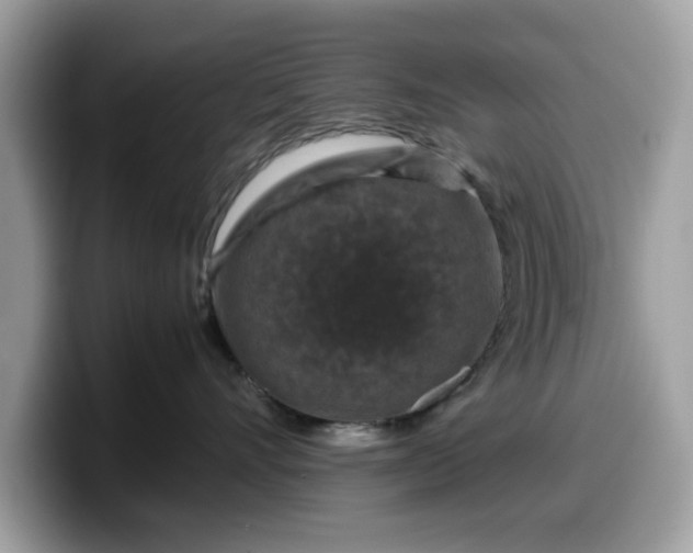 X0000099570528200805301543