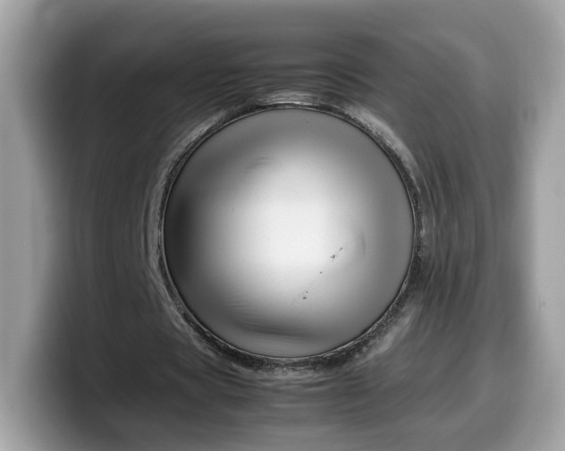 X0000099570529200805301542