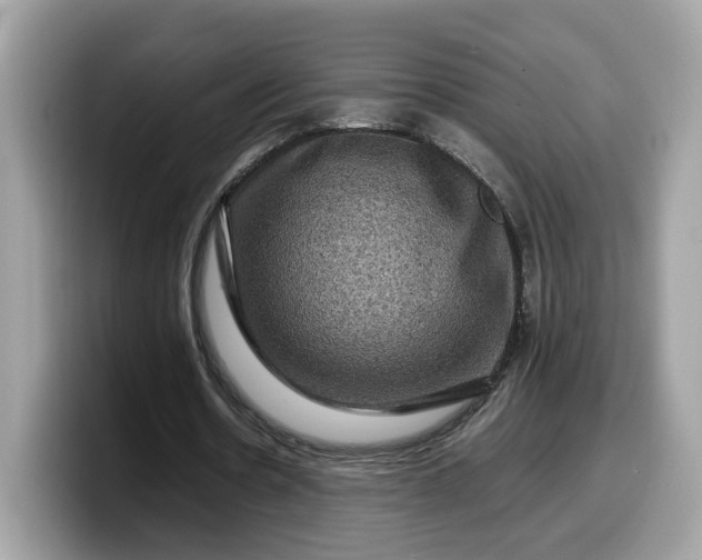X0000099570530200805301542