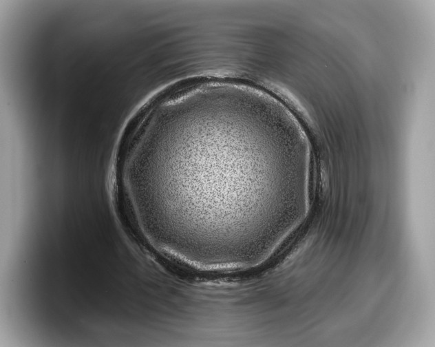 X0000099570532200805301542