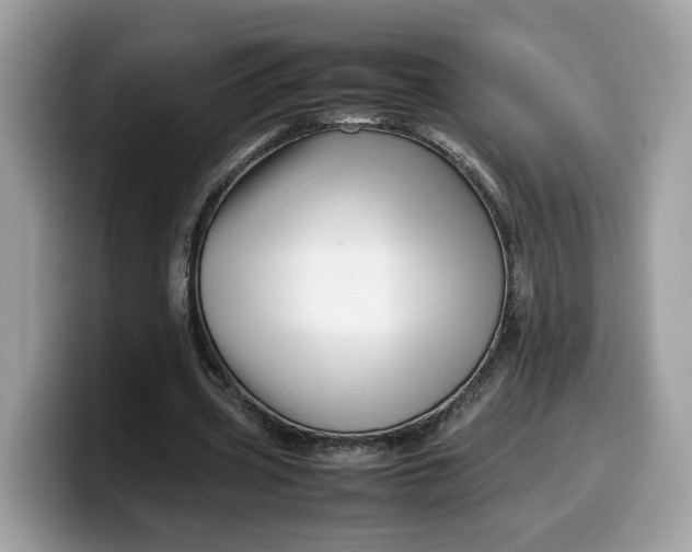 X0000099570533200805301542