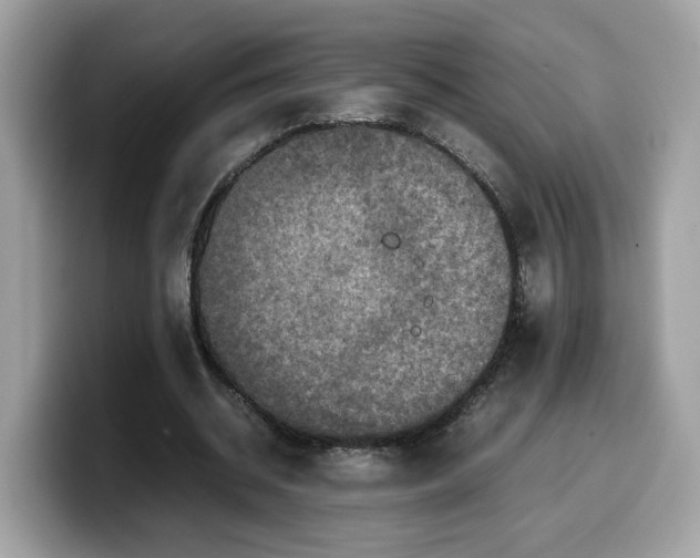 X0000099570534200805301542
