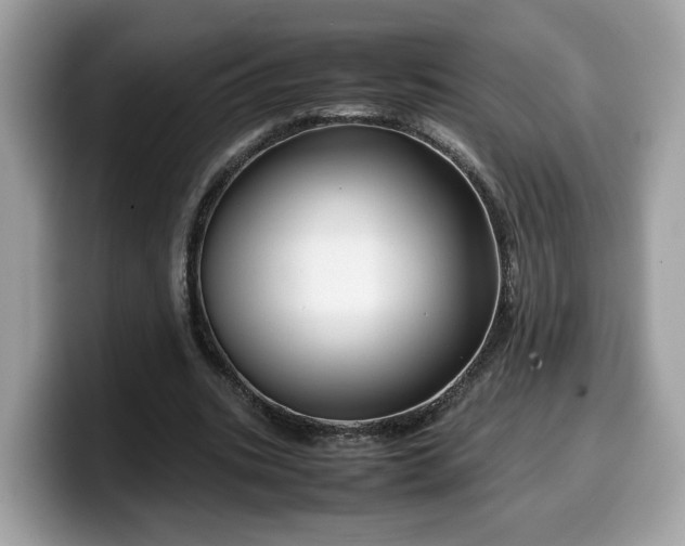 X0000099570535200805301542