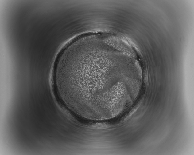 X0000099570536200805301542