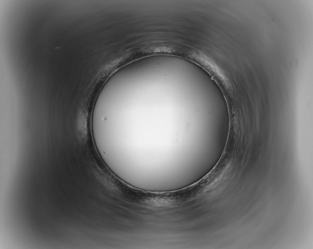 X0000099570537200805301542